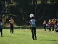 Tn dsc 0536